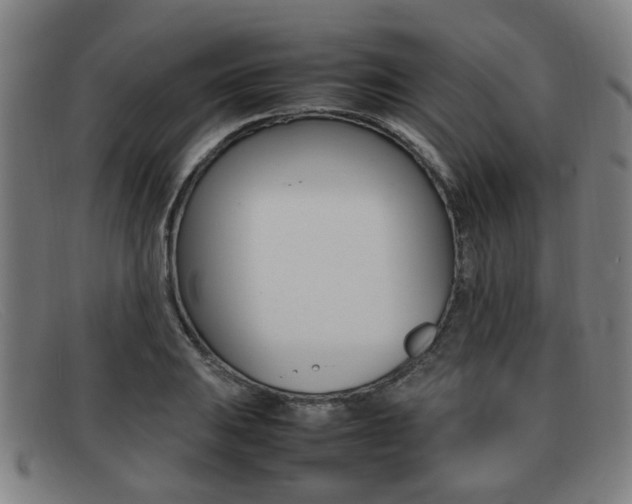X0000092061031200709121001
