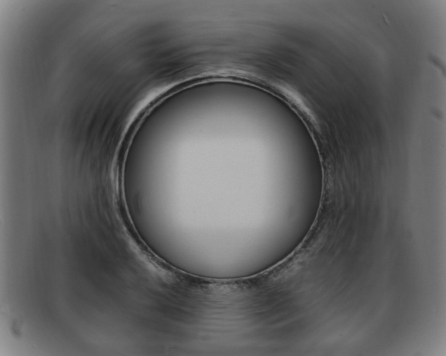 X0000092061032200709121001
