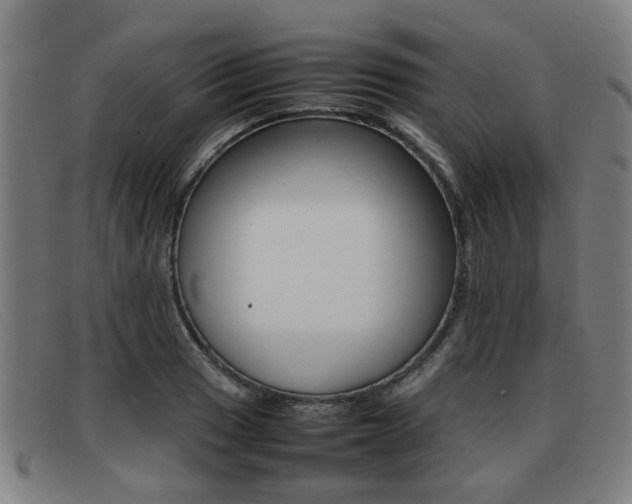 X0000092061033200709121001