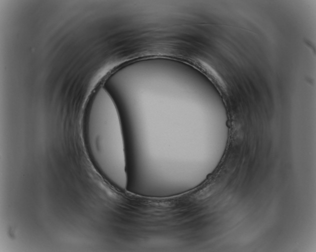 X0000092061035200709121001