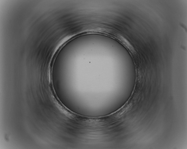 X0000092061036200709121001