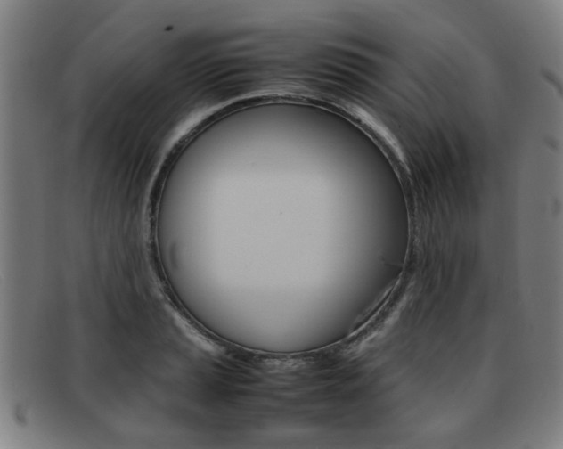 X0000092061037200709121001