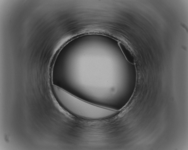 X0000092061038200709121001