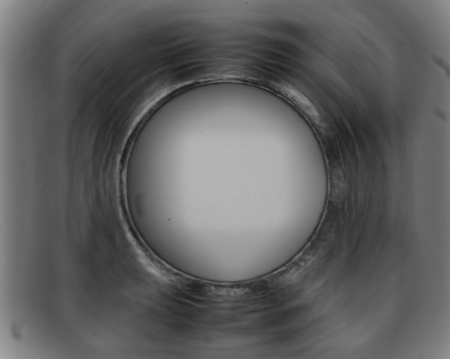 X0000092061039200709121001