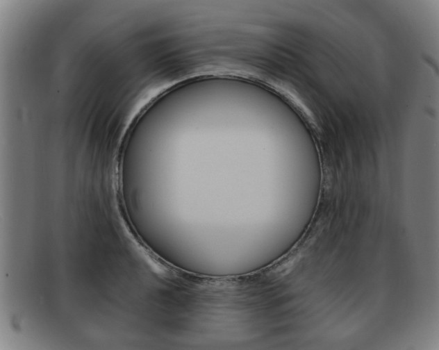 X0000092061040200709121001