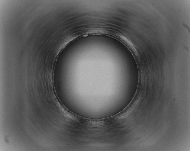 X0000092061041200709121001