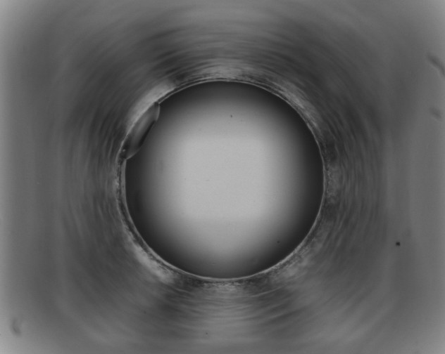 X0000092061042200709121001