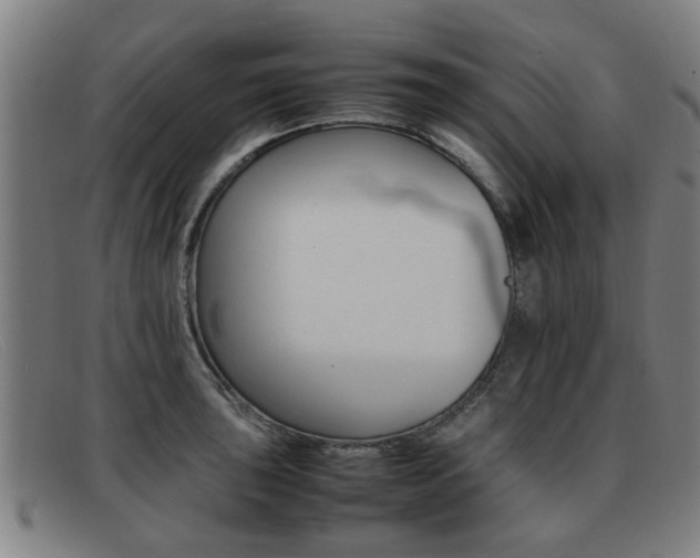 X0000092061043200709121001