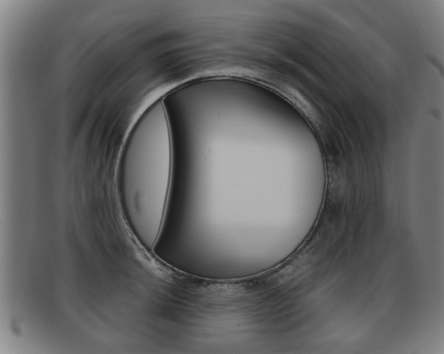 X0000092061044200709121001