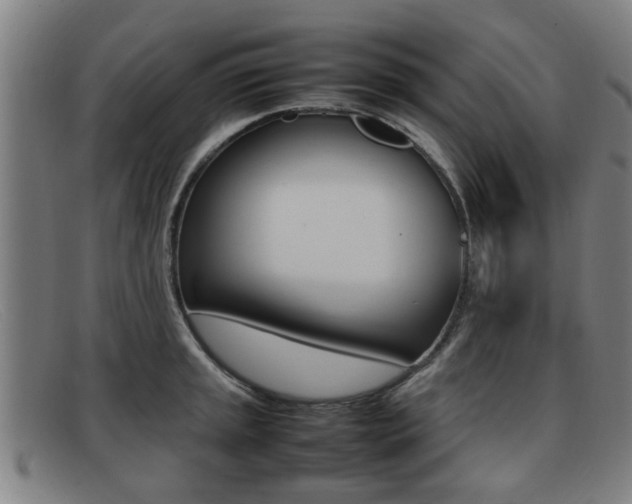 X0000092061045200709121001
