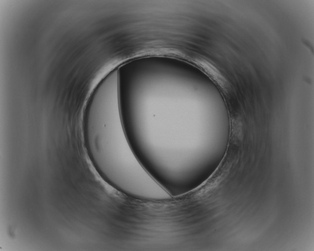 X0000092061046200709121001