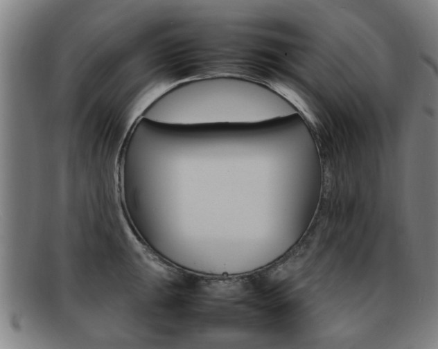 X0000092061047200709121001