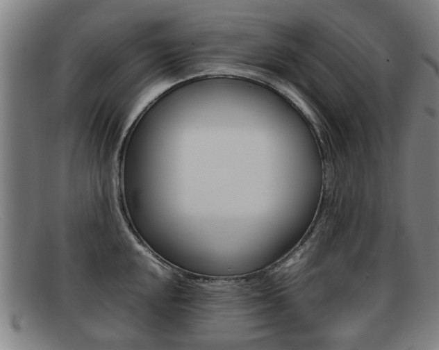 X0000092061048200709121001