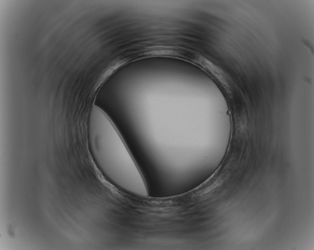 X0000092061049200709121001