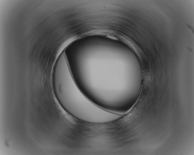 X0000092061050200709121001