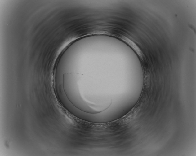 X0000092061051200709121002