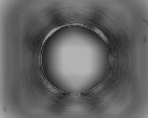 X0000092061052200709121002