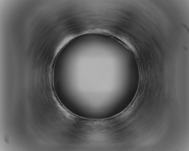 X0000092061054200709121002