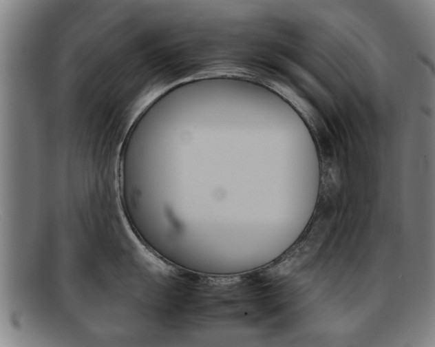 X0000092061055200709121002
