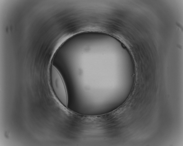 X0000092061056200709121002