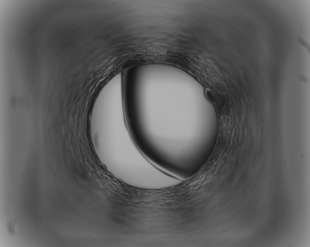 X0000092061057200709121001