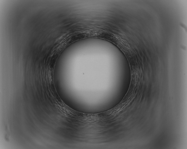 X0000092061058200709121001