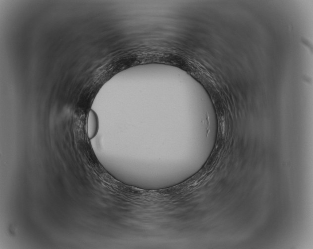 X0000092061059200709121001