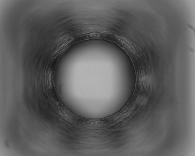 X0000092061060200709121001