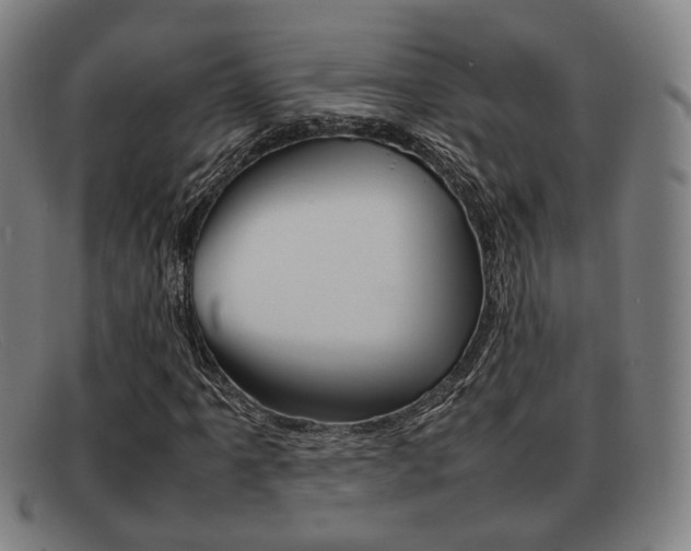 X0000092061061200709121001