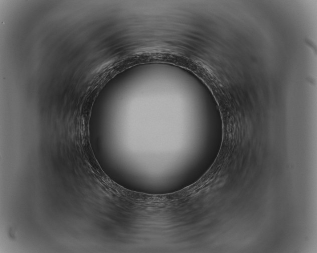 X0000092061062200709121001
