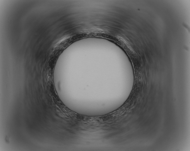 X0000092061063200709121001