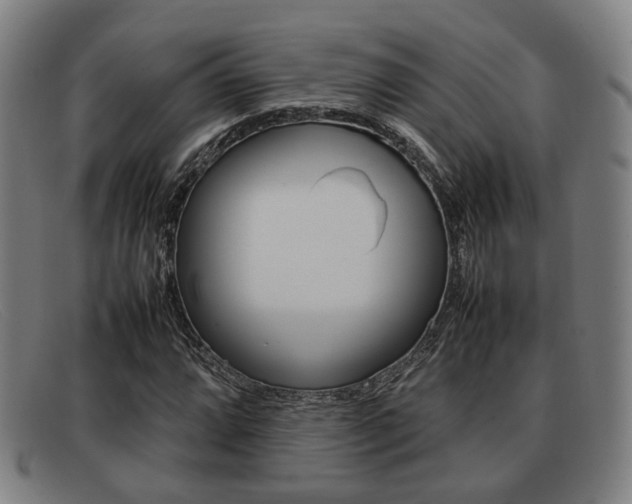 X0000092061064200709121001