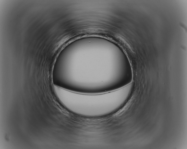 X0000092061065200709121001