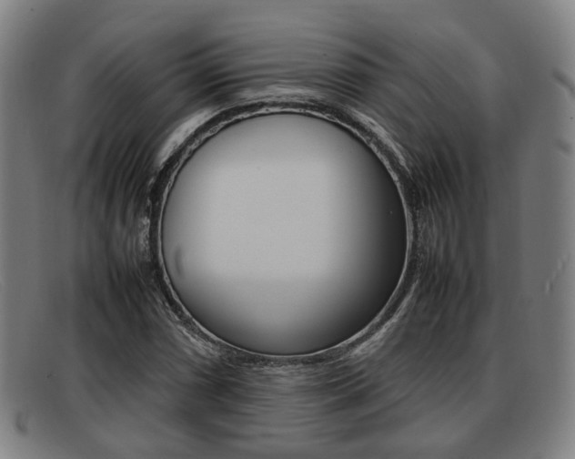 X0000092061066200709121001