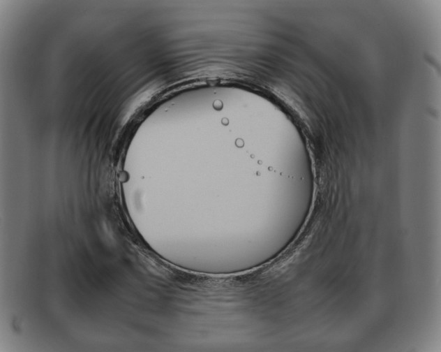X0000092061067200709121001