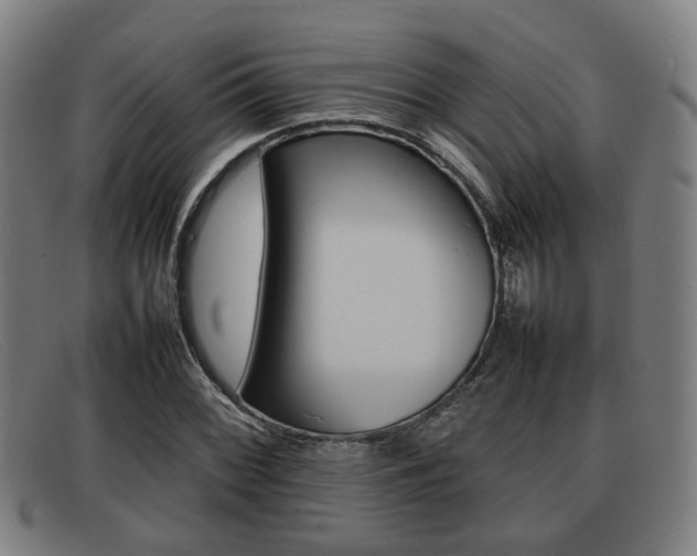 X0000092061068200709121001
