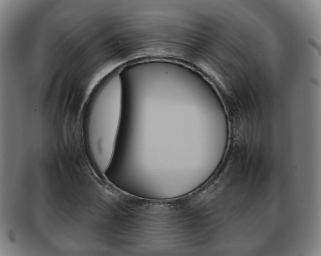 X0000092061070200709121001