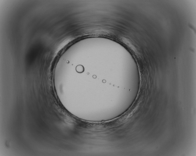 X0000092061071200709121001