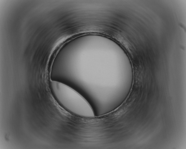X0000092061072200709121001