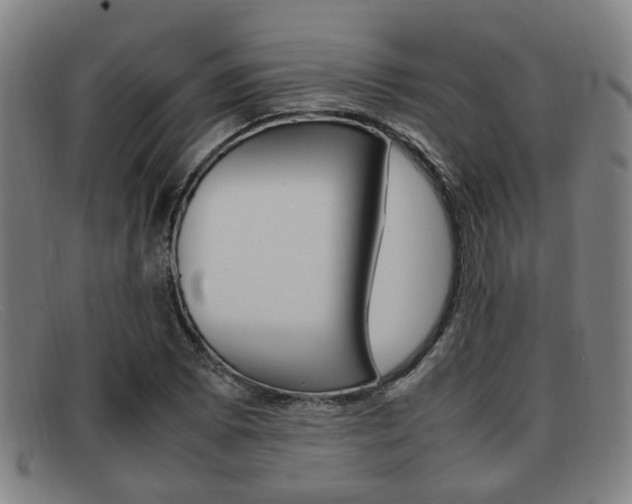 X0000092061073200709121001