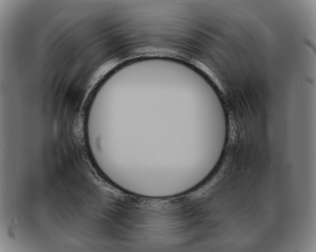 X0000092061074200709121001
