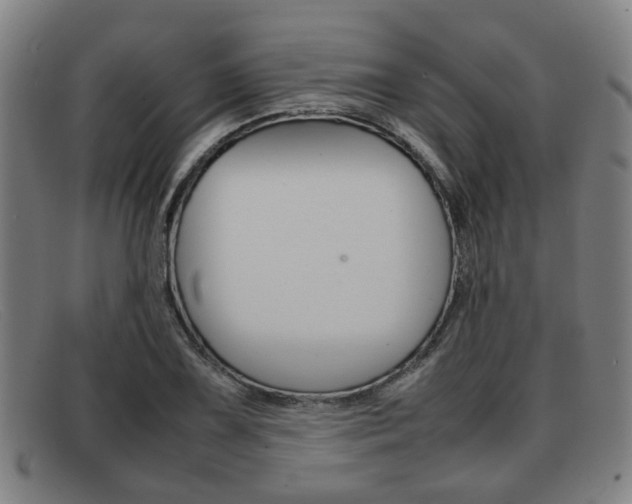 X0000092061075200709121001