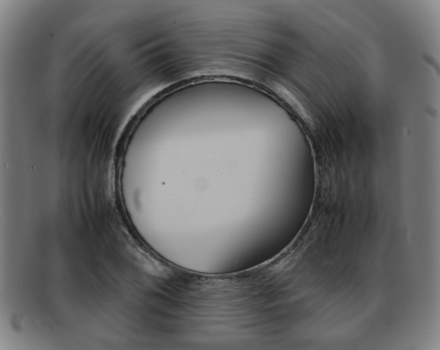 X0000092061076200709121001