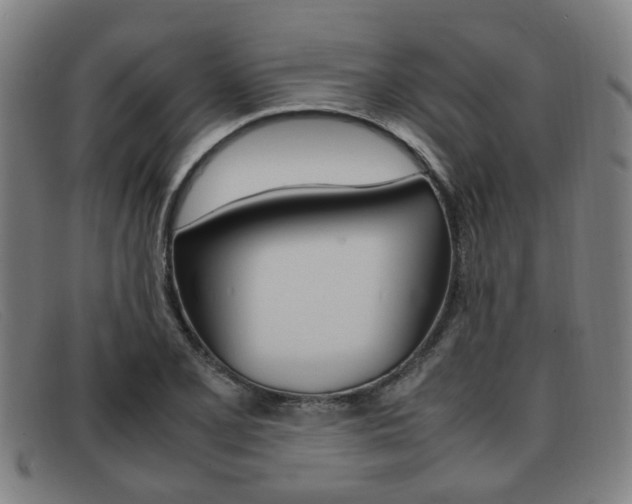 X0000092061077200709121001