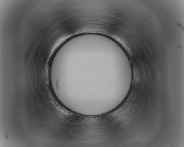 X0000092061078200709121001