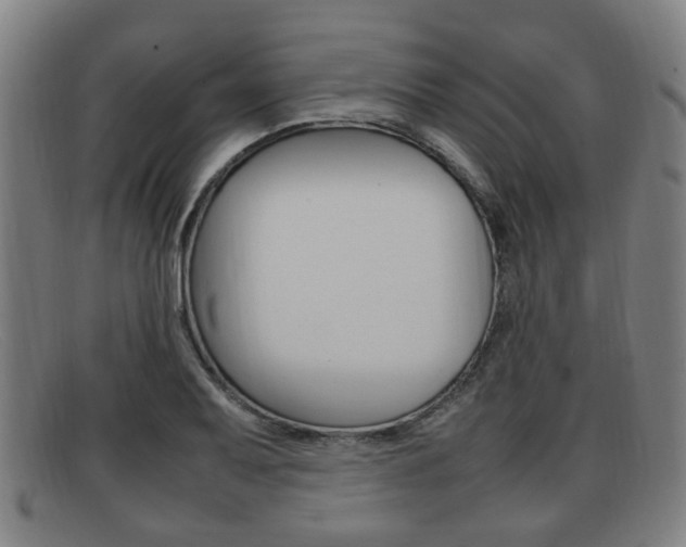 X0000092061079200709121001