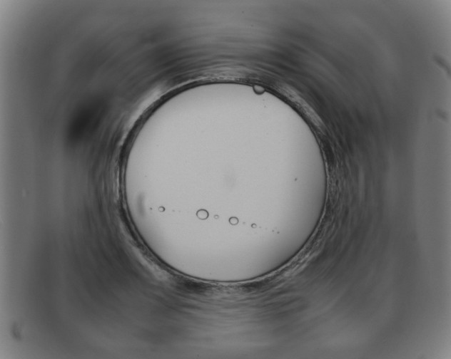 X0000092061083200709121001
