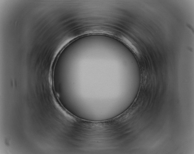 X0000092061084200709121001