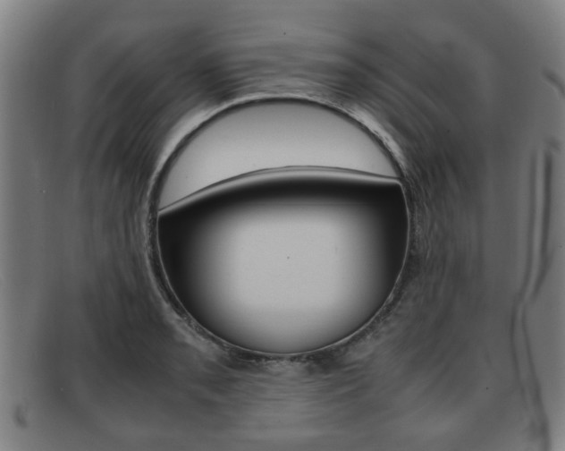X0000092061085200709121001