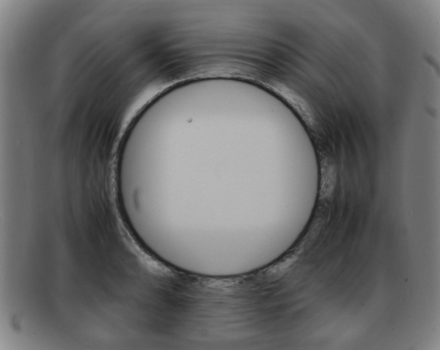X0000092061086200709121001